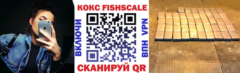 Cocaine FishScale где купить Звенигово