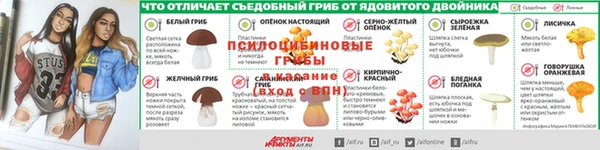 Альфа ПВП Алексеевка