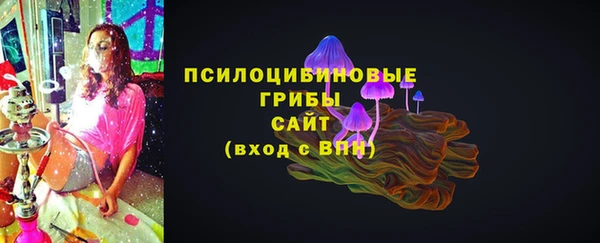 МДПВ Алзамай